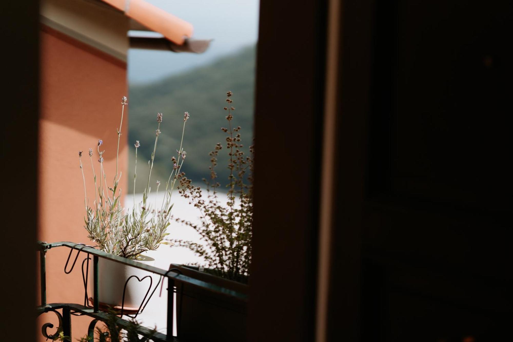 Il Castagno Holiday Home Teriasca Eksteriør bilde